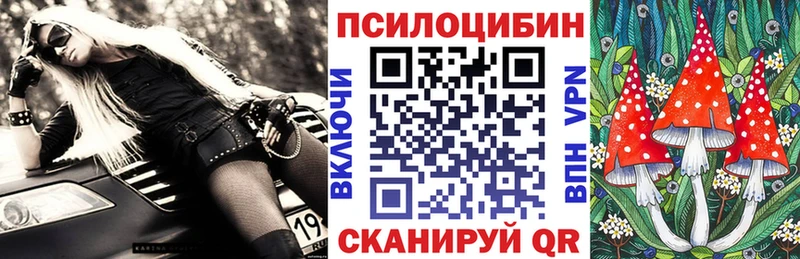 Купить где  Туринск  Псилоцибиновые грибы Psilocybe 