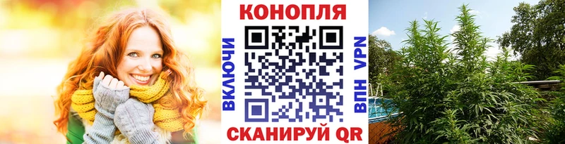 Купить закладки  Туринск  Конопля AK-47 